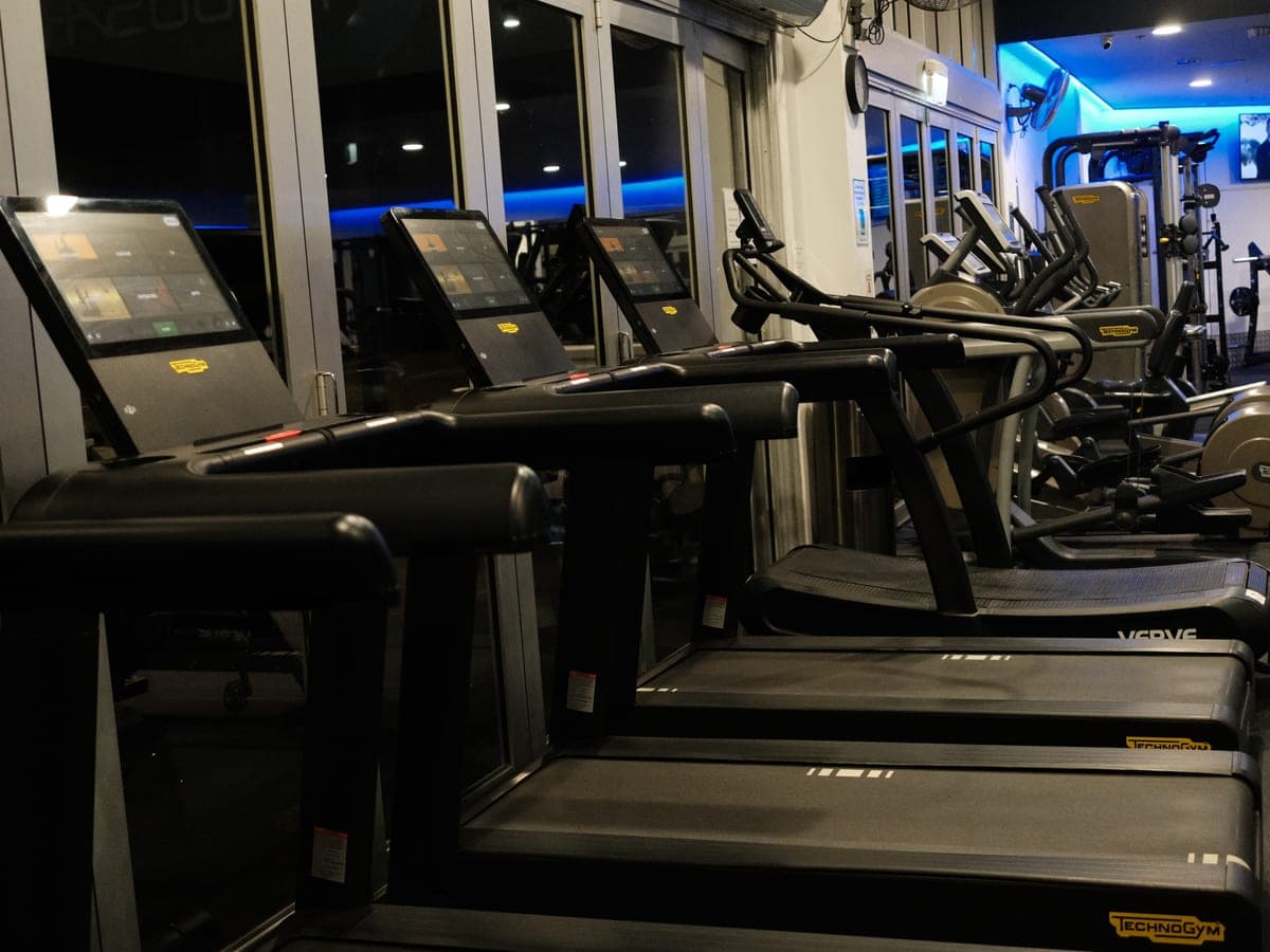 Technogym treadmills by the windows on the cardio floor